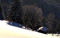 Pension Jordan Kirchberg in Tirol Exterior photo